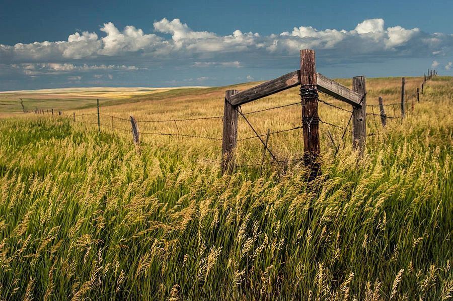 Coteau View Hunts South Dakota Pheasant Hunting Lodge